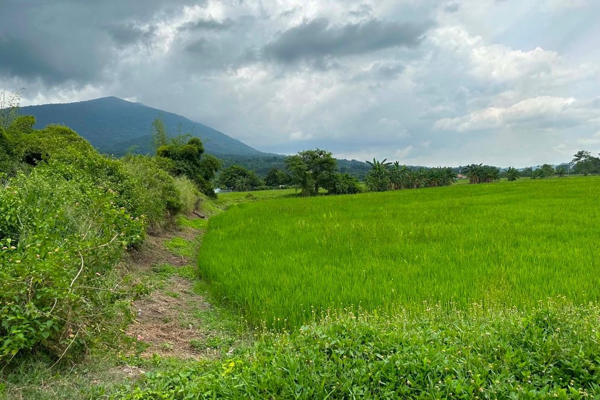 Land for Sale in San Roque Bitas, Arayat, Pampanga – photo 4