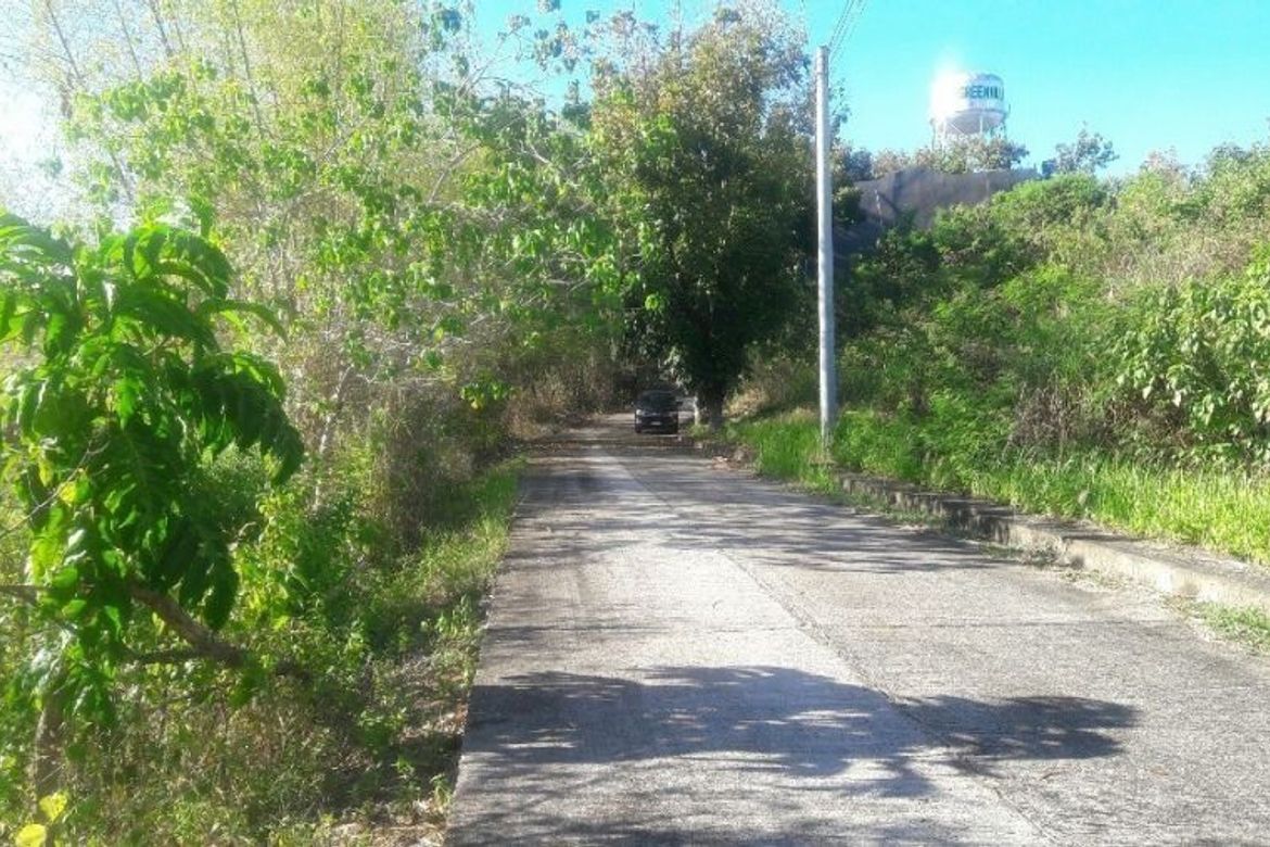 Land for Sale in San Roque, Liloan, Cebu – photo 4