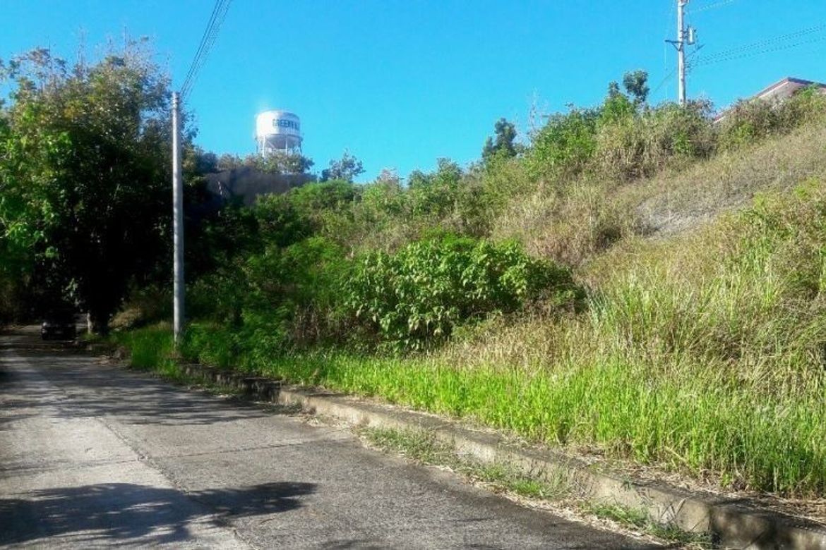 Land for Sale in San Roque, Liloan, Cebu – photo 5