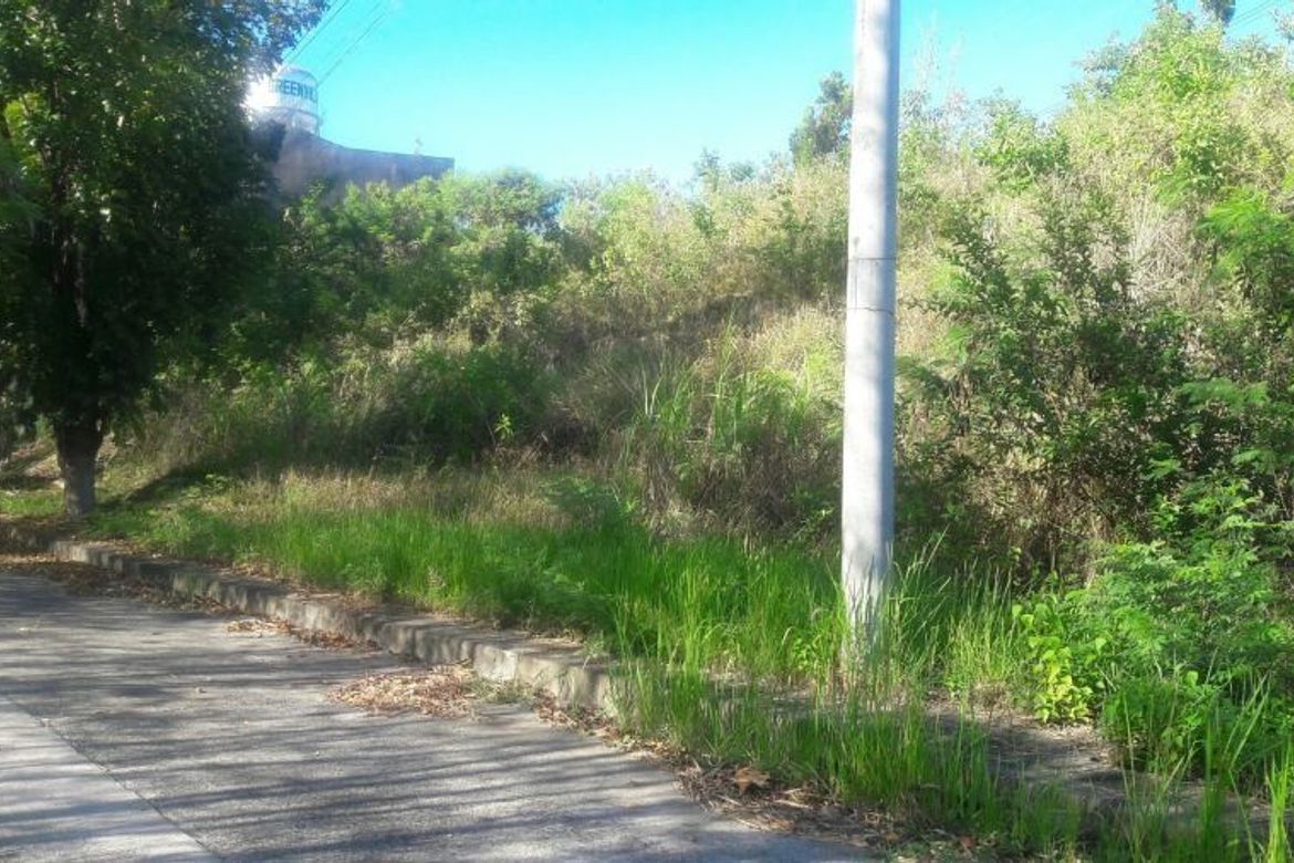Land for Sale in San Roque, Liloan, Cebu – photo 6