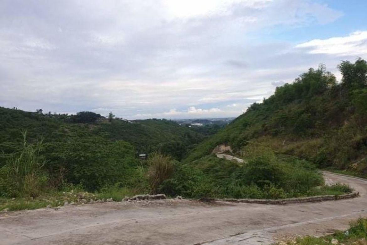 Land for Sale in San Roque, Liloan, Cebu – photo 2