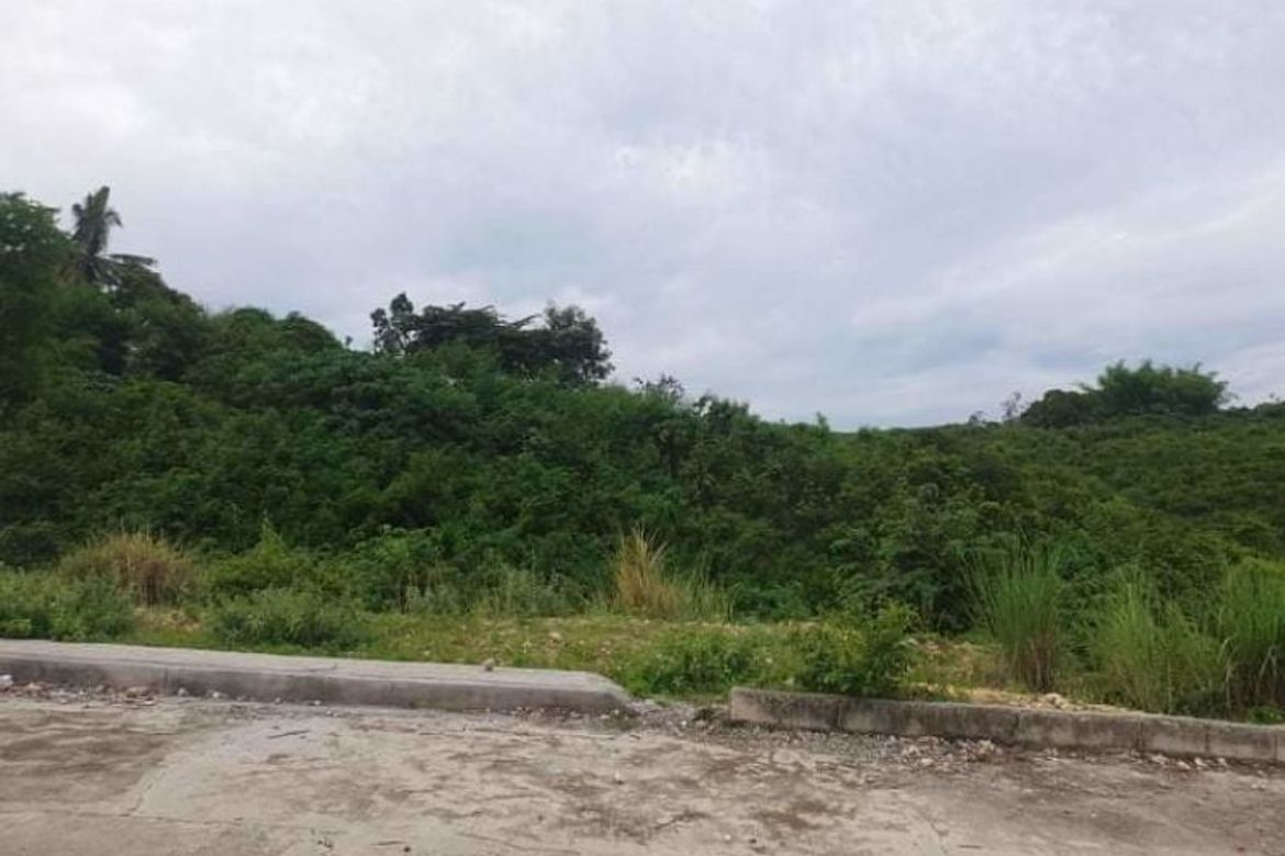 Land for Sale in San Roque, Liloan, Cebu – photo 3