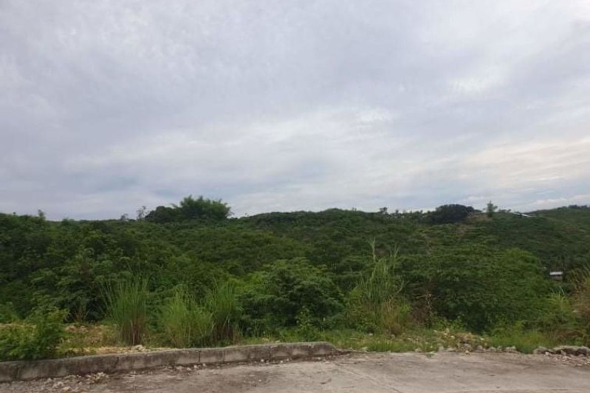 Land for Sale in San Roque, Liloan, Cebu – photo 6