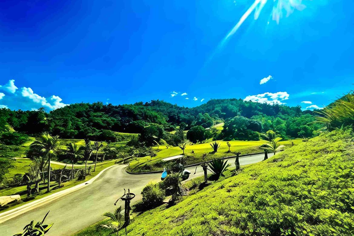 Land for Sale in San Roque, Liloan, Cebu – photo 6
