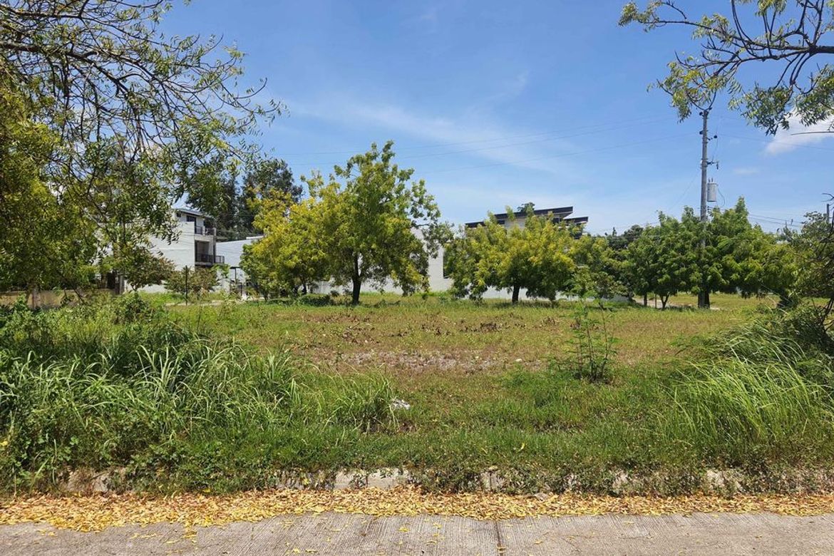 Land for Sale in San Roque, Liloan, Cebu – photo 2