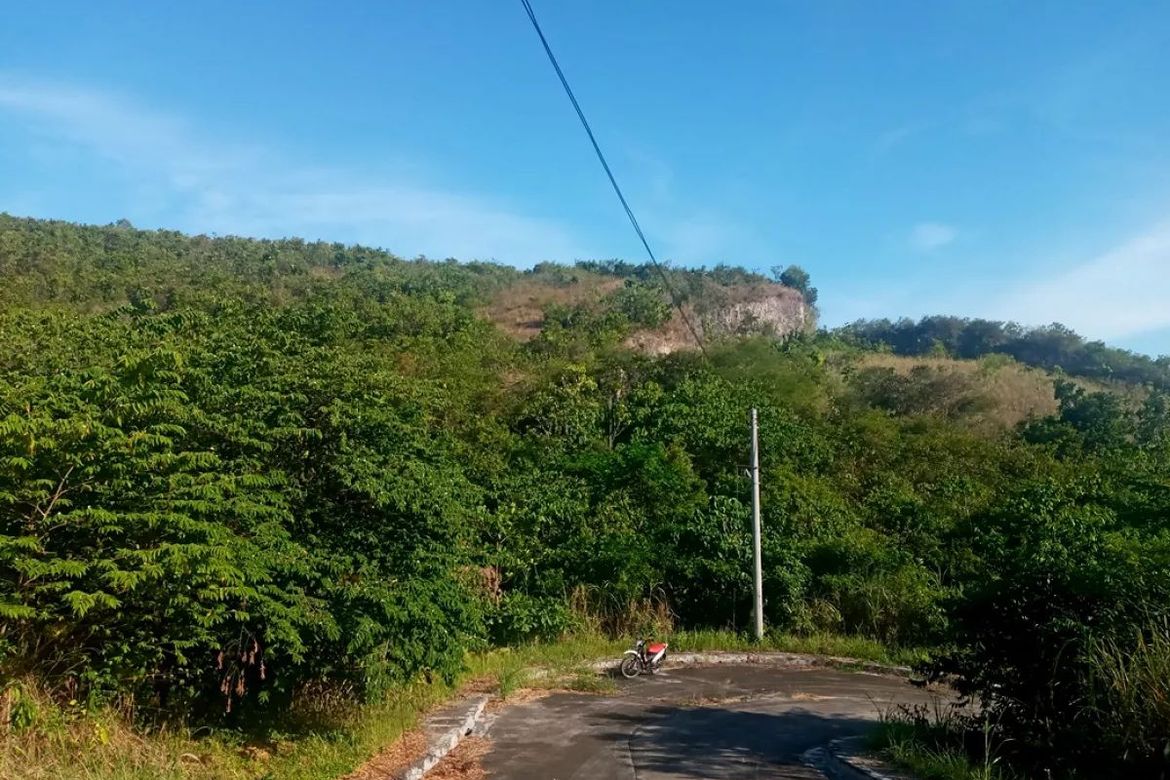 Land for Sale in San Roque, Liloan, Cebu – photo 5