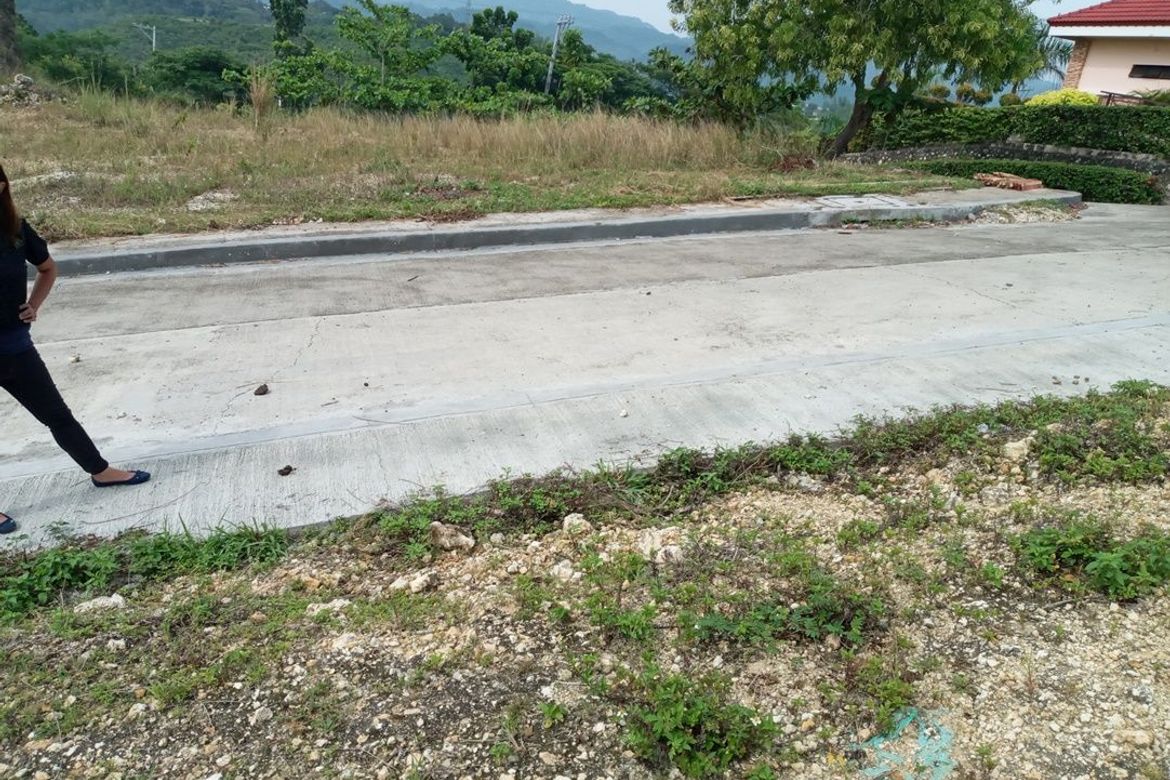 Land for Sale in San Roque, Liloan, Cebu – photo 3