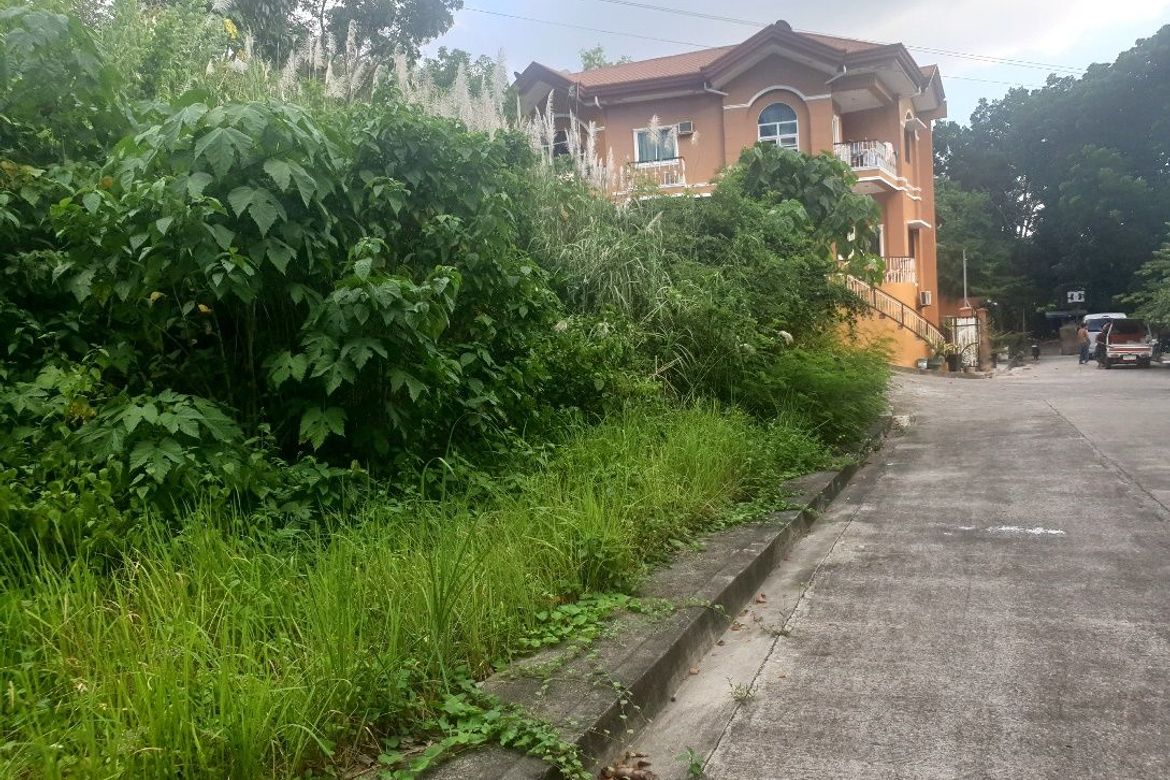 Land for Sale in San Roque, Liloan, Cebu