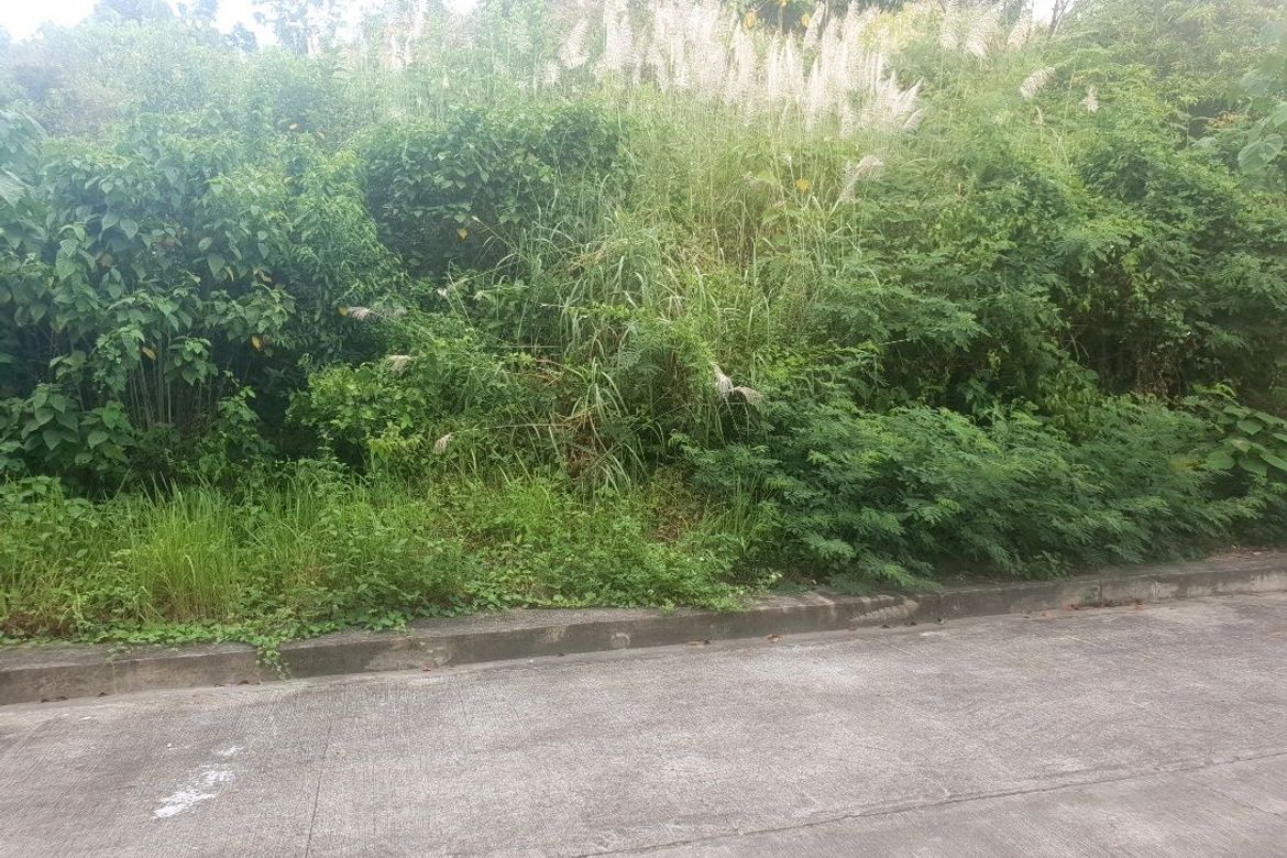 Land for Sale in San Roque, Liloan, Cebu – photo 2