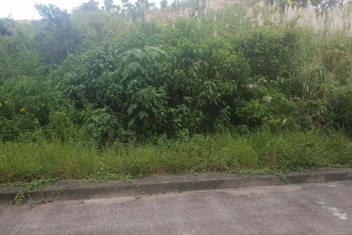 Land for Sale in San Roque, Liloan, Cebu – photo 3