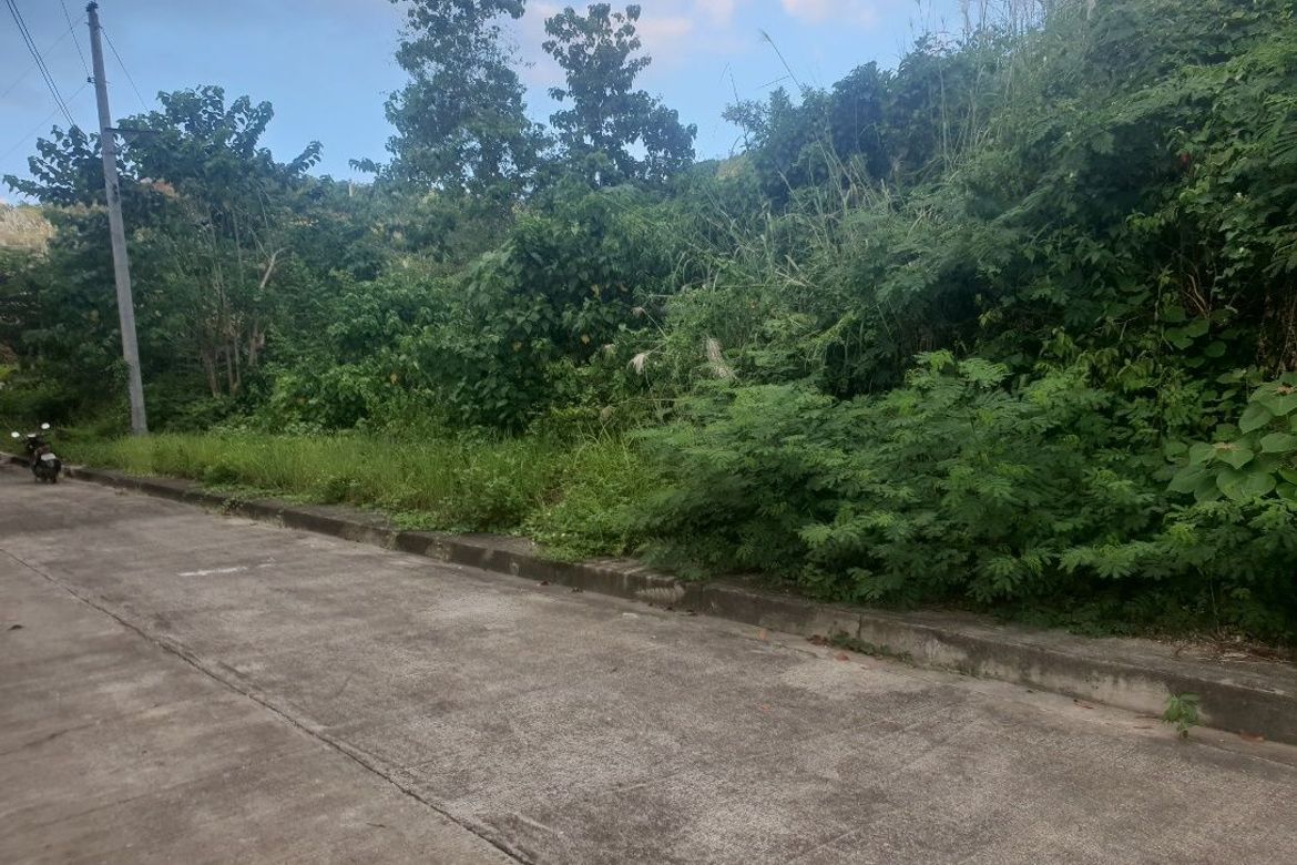 Land for Sale in San Roque, Liloan, Cebu – photo 4