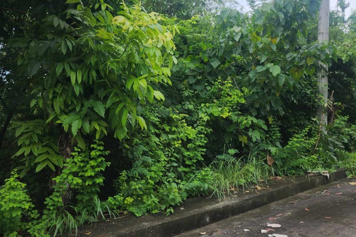 Land for Sale in San Roque, Liloan, Cebu – photo 4