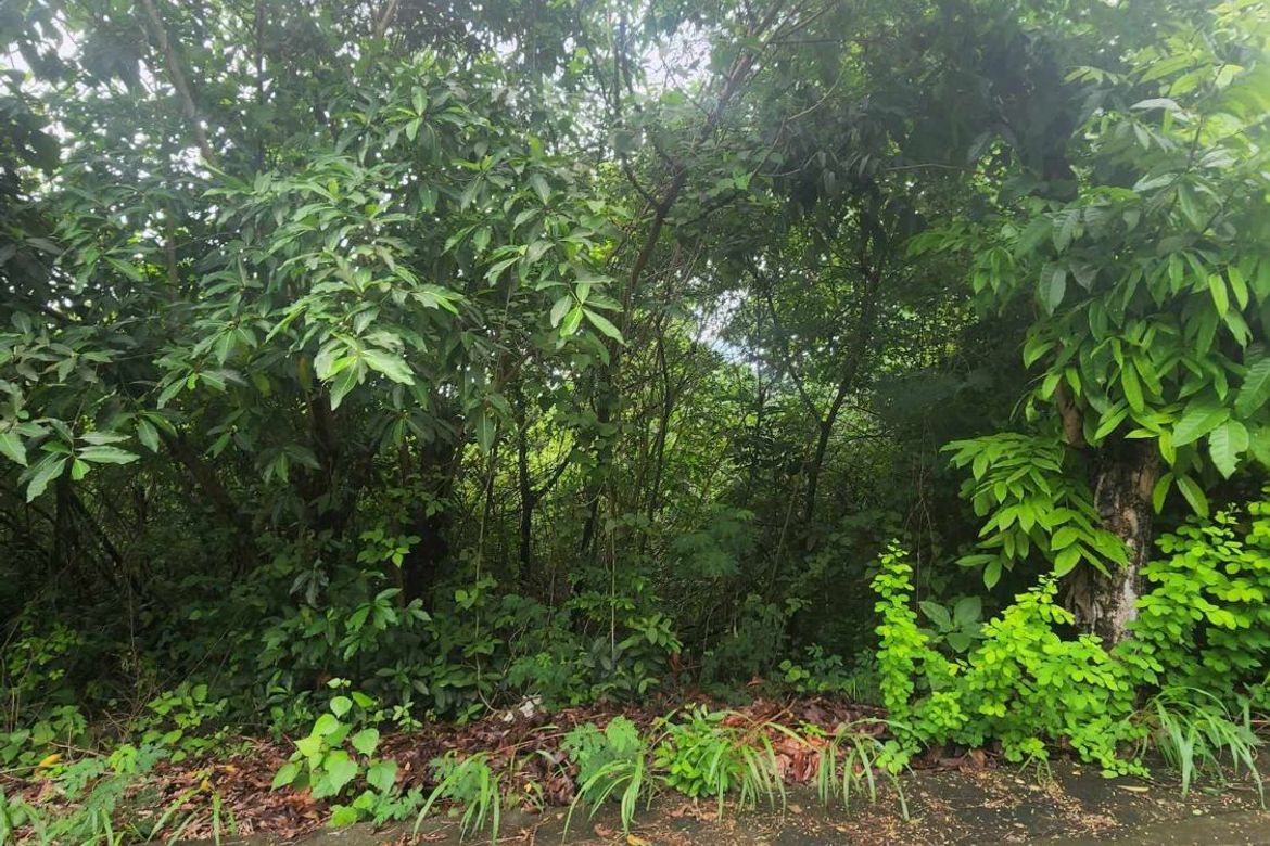 Land for Sale in San Roque, Liloan, Cebu – photo 5