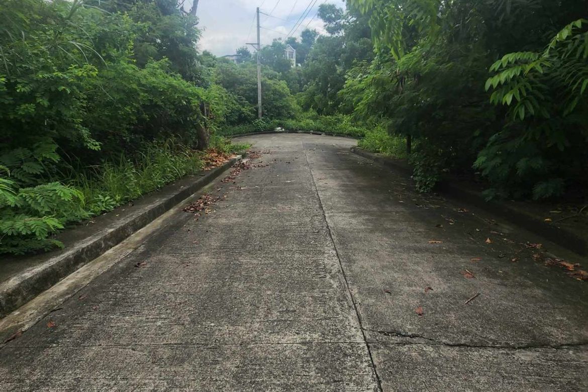 Land for Sale in San Roque, Liloan, Cebu – photo 8
