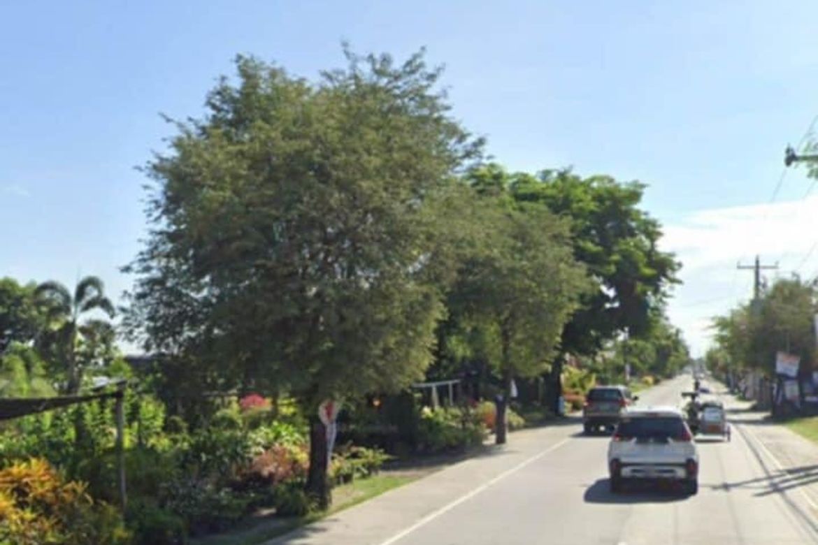 Land for Sale in San Roque, Magalang, Pampanga – photo 3