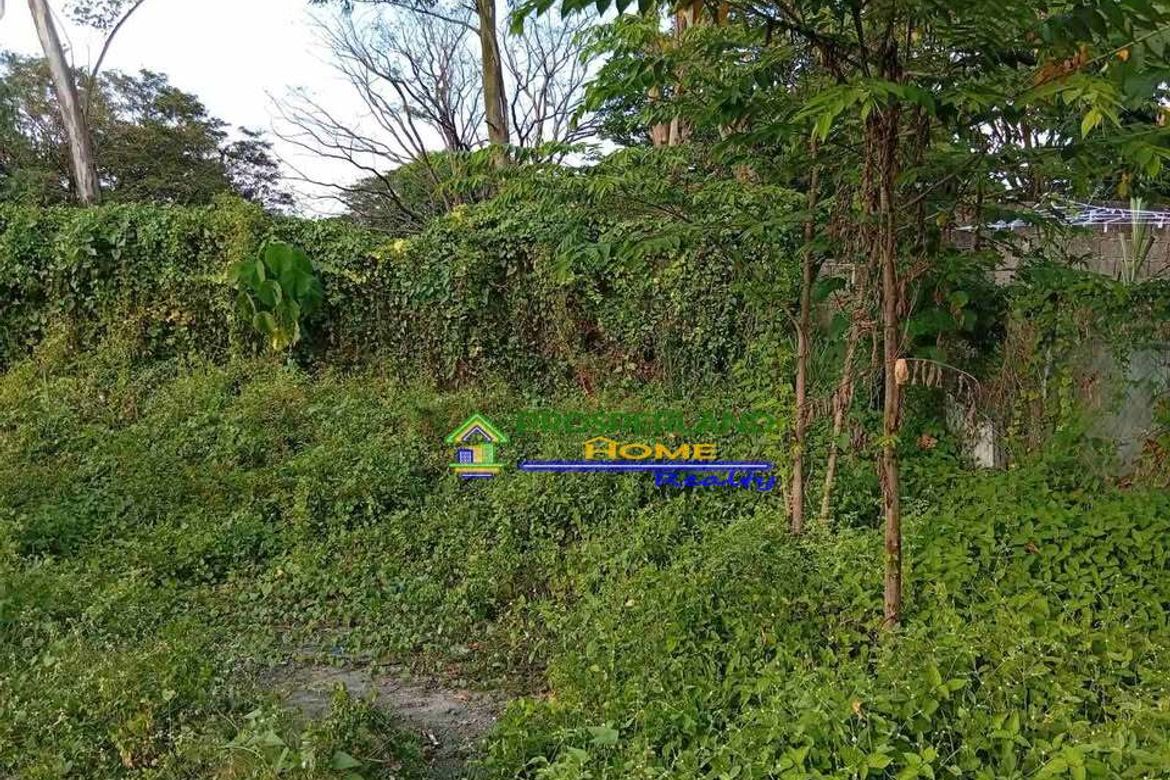 Land for Sale in San Roque, San Pedro, Laguna – photo 2