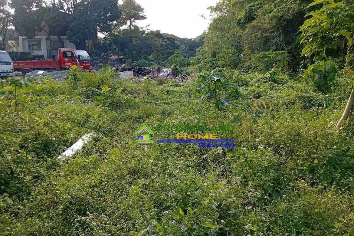 Land for Sale in San Roque, San Pedro, Laguna – photo 4