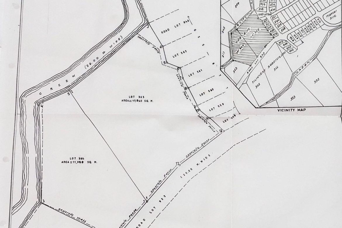 Land for Sale in San Roque, San Pedro, Laguna – photo 4