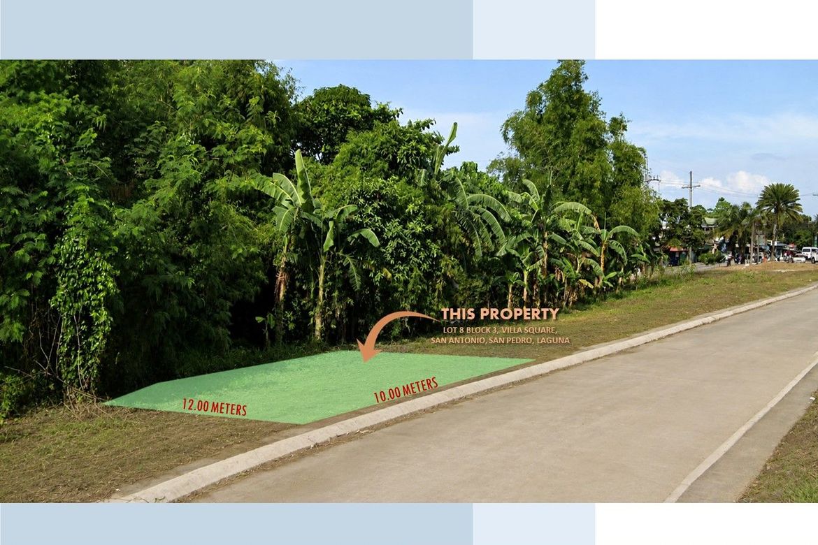 Land for Sale in San Roque, San Pedro, Laguna – photo 4