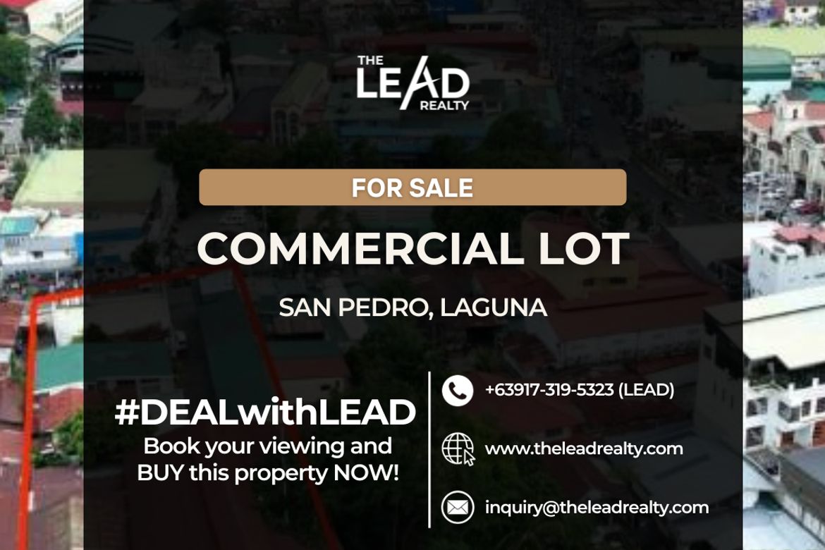 Land for Sale in San Roque, San Pedro, Laguna – photo 4