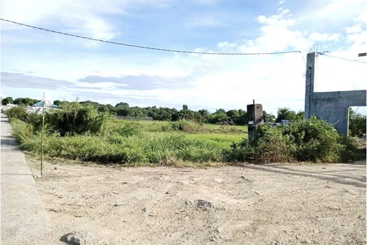 Land for Sale in San Roque, San Rafael, Bulacan