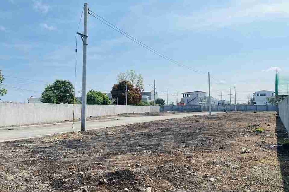 Land for Sale in San Roque, Tarlac, Tarlac
