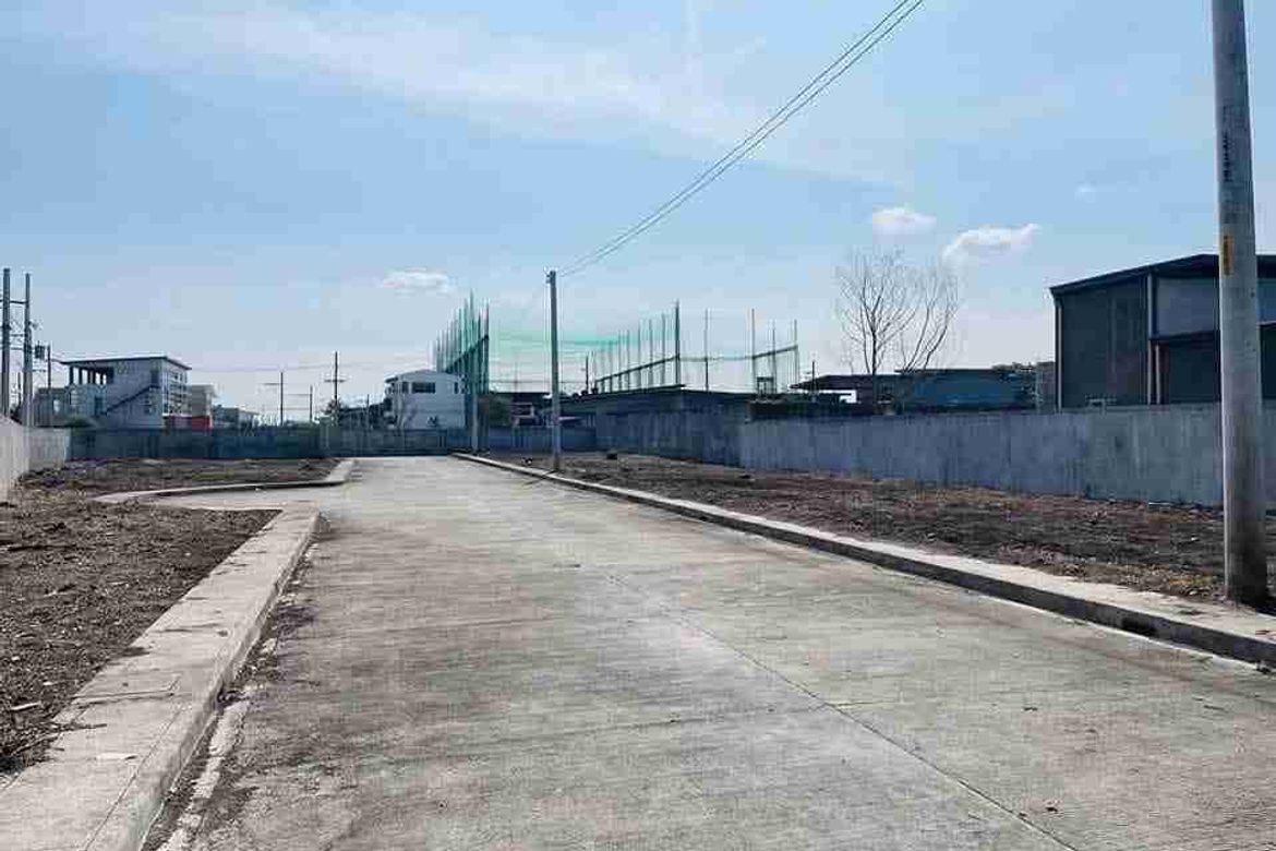 Land for Sale in San Roque, Tarlac, Tarlac – photo 4