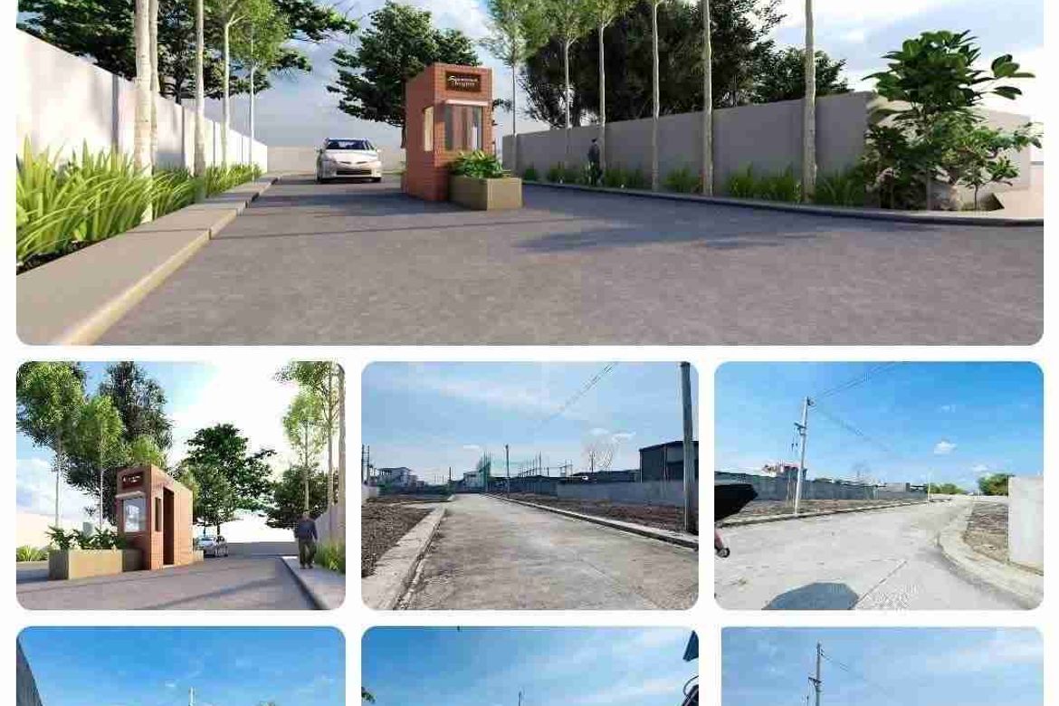 Land for Sale in San Roque, Tarlac, Tarlac – photo 5