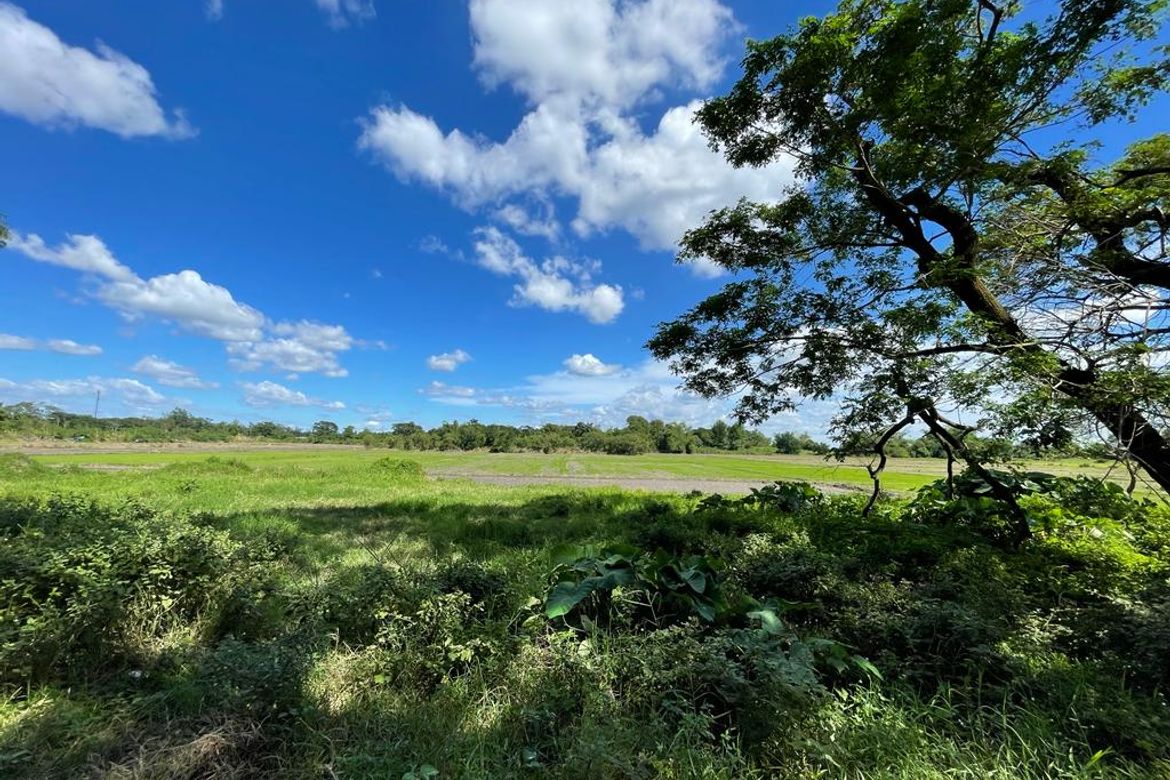 Land for Sale in San Sebastian, Tarlac, Tarlac – photo 4