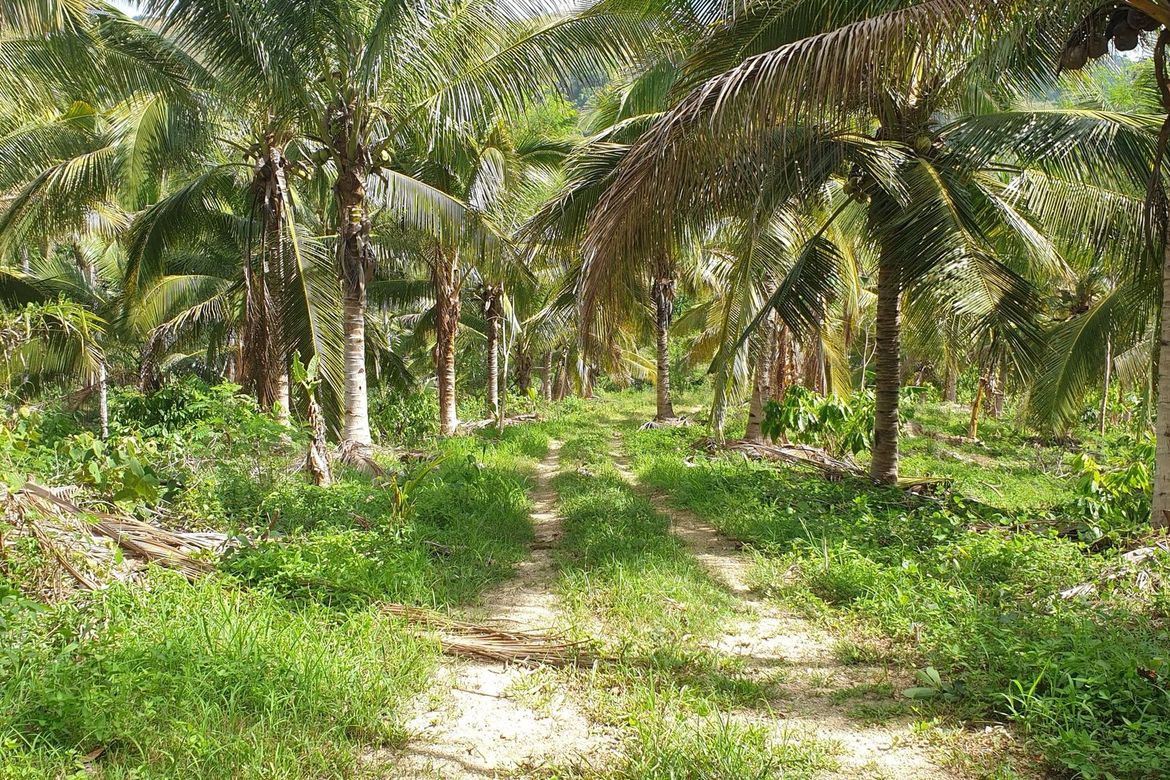 Land for Sale in San Simon, Cagayan de Oro, Misamis Oriental – photo 2