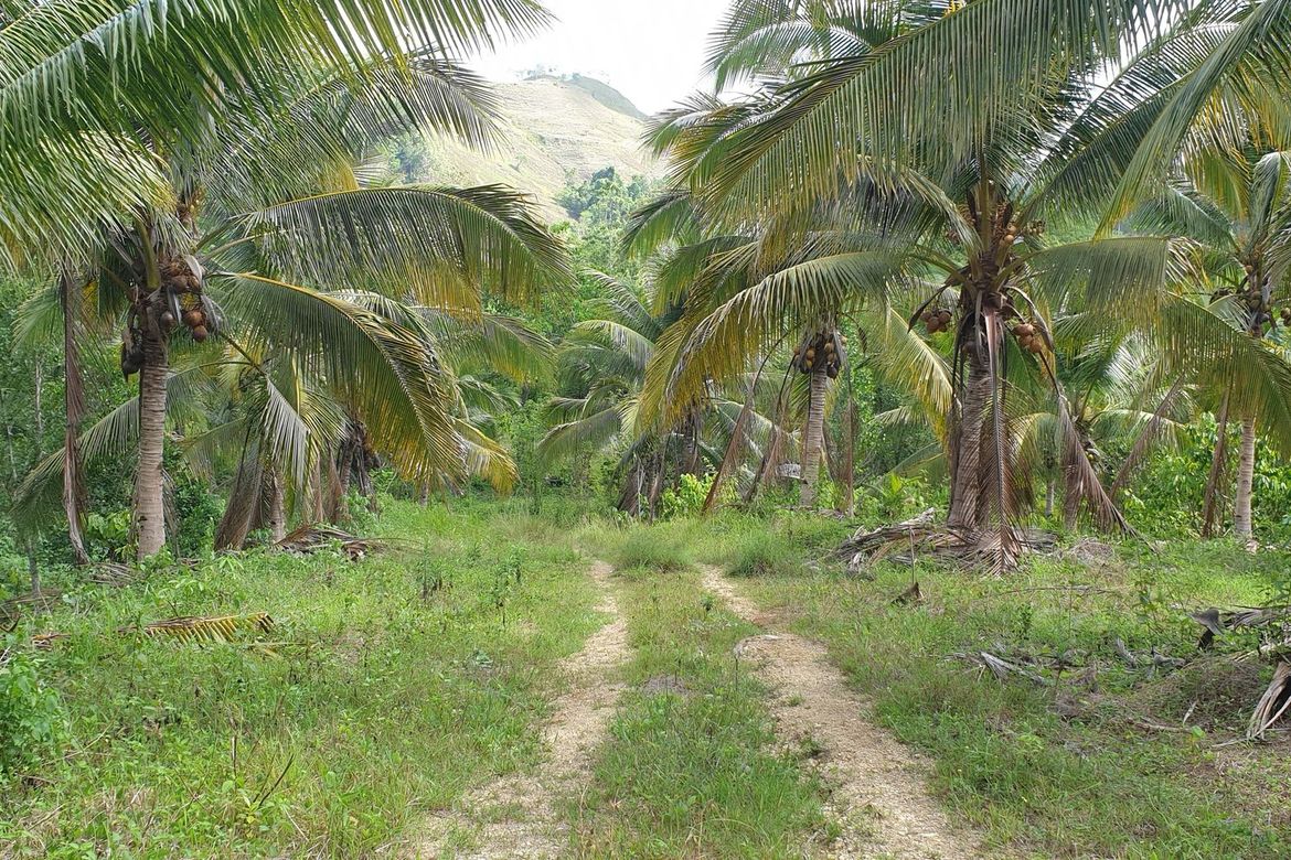 Land for Sale in San Simon, Cagayan de Oro, Misamis Oriental – photo 3