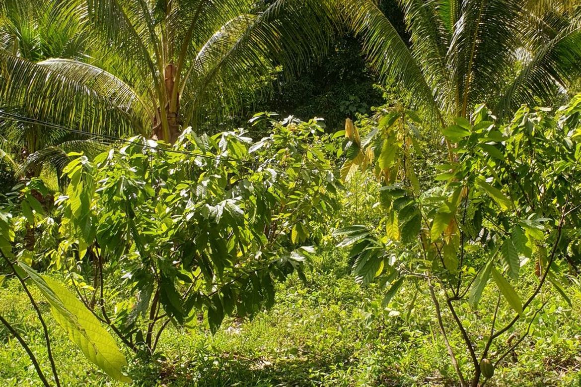 Land for Sale in San Simon, Cagayan de Oro, Misamis Oriental – photo 5