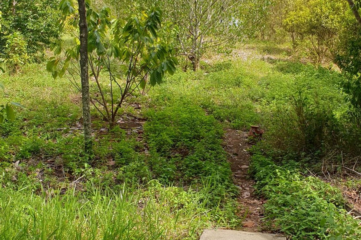 Land for Sale in San Simon, Cagayan de Oro, Misamis Oriental – photo 6