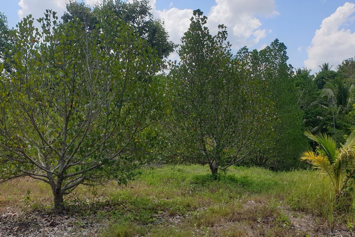Land for Sale in San Simon, Cagayan de Oro, Misamis Oriental – photo 7