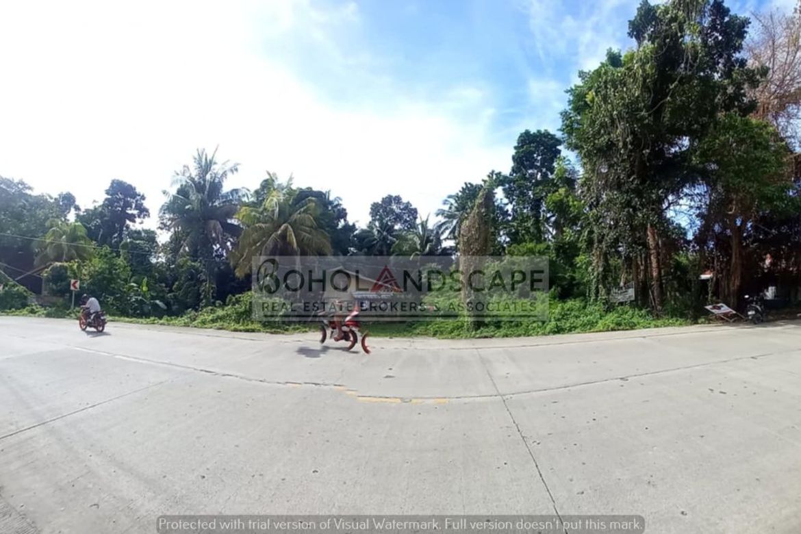 Land for Sale in San Vicente, Baclayon, Bohol