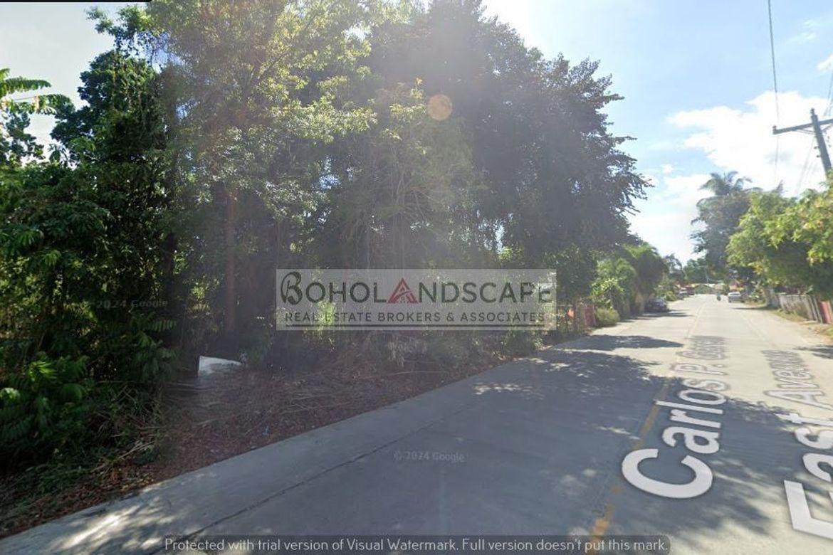 Land for Sale in San Vicente, Baclayon, Bohol – photo 5