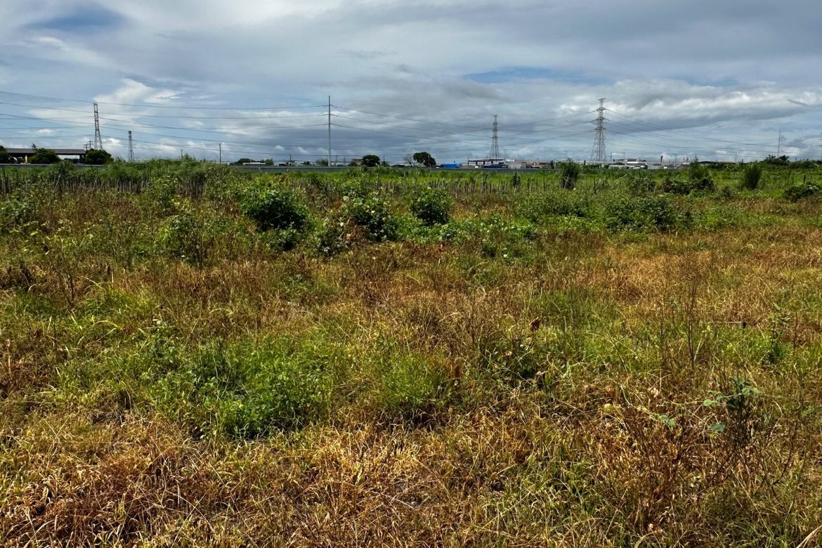 Land for Sale in San Vicente, Bacolor, Pampanga
