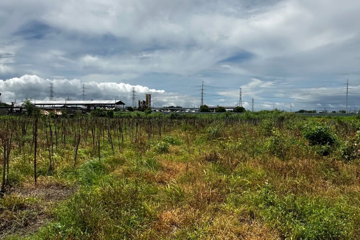 Land for Sale in San Vicente, Bacolor, Pampanga – photo 2