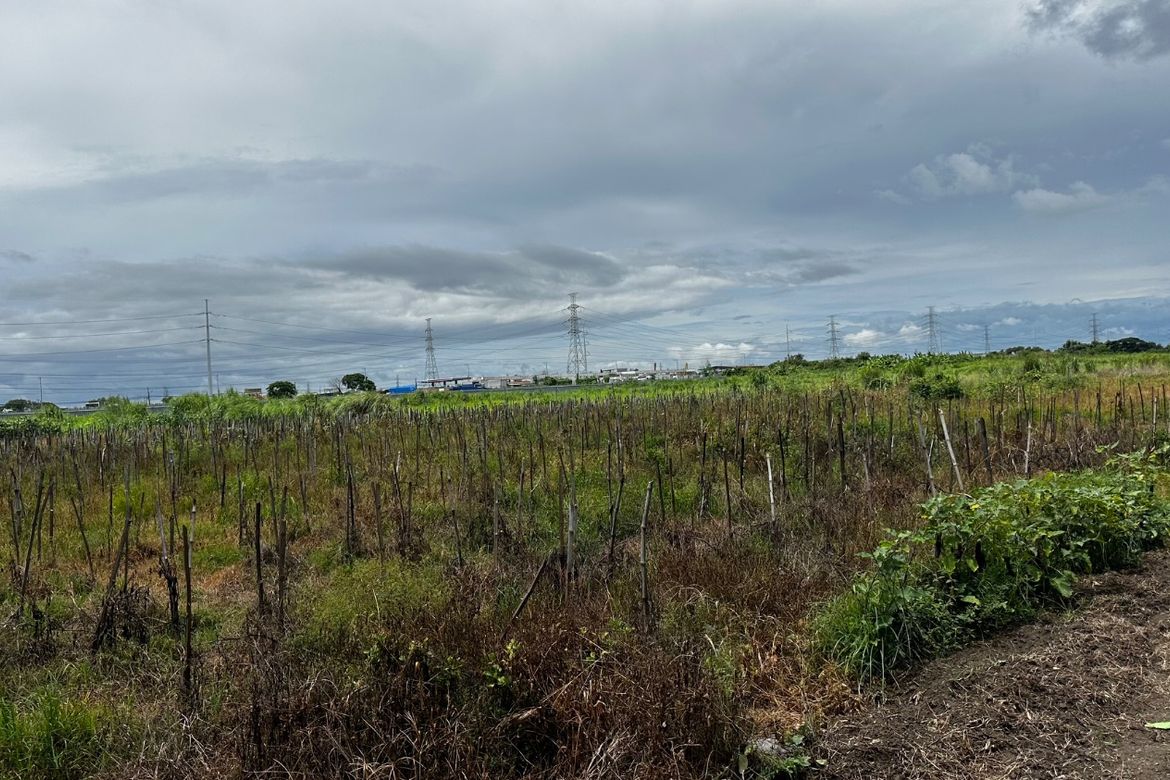 Land for Sale in San Vicente, Bacolor, Pampanga – photo 7
