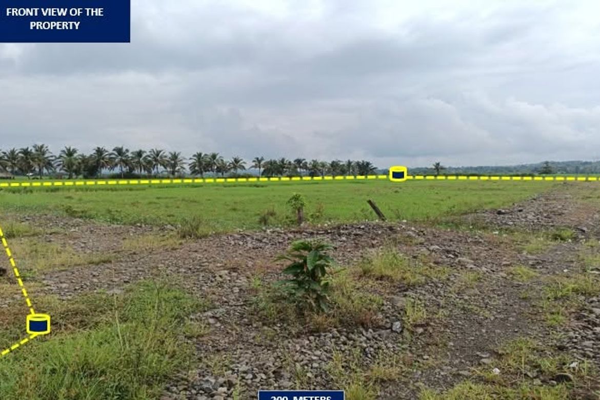 Land for Sale in San Vicente, Butuan, Agusan del Norte – photo 2