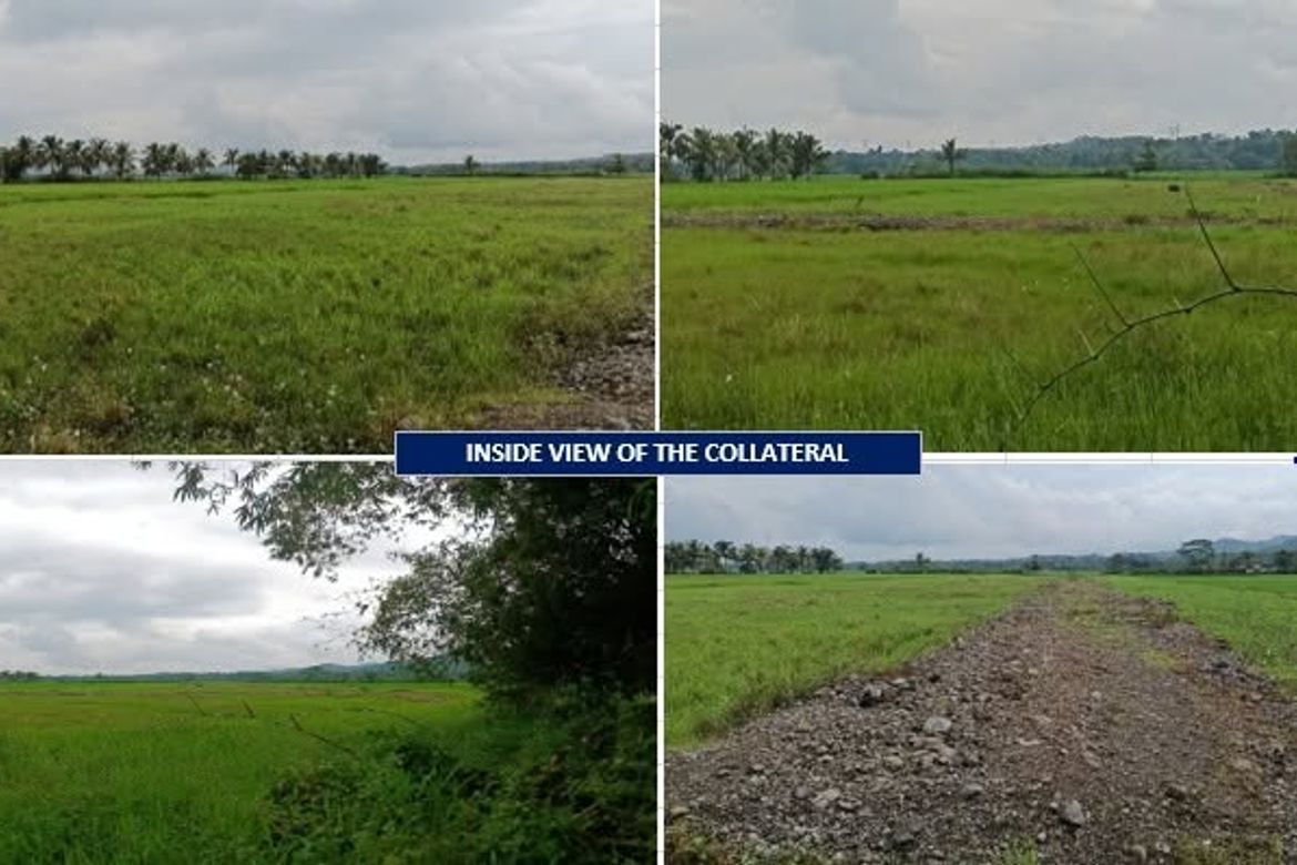 Land for Sale in San Vicente, Butuan, Agusan del Norte – photo 3