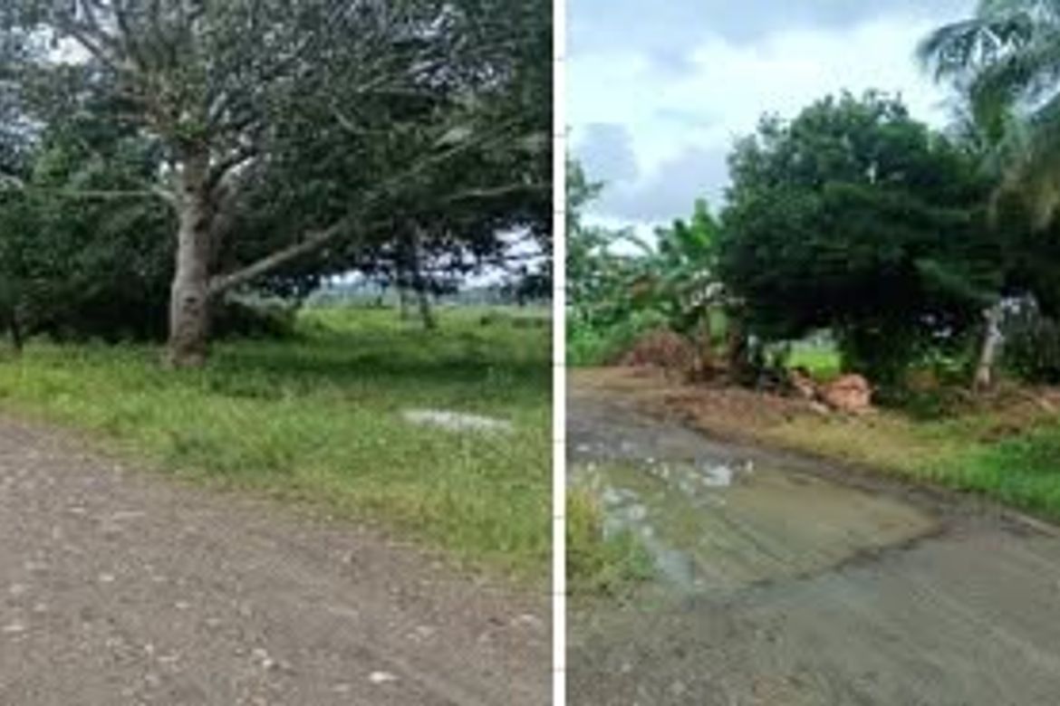 Land for Sale in San Vicente, Butuan, Agusan del Norte – photo 4