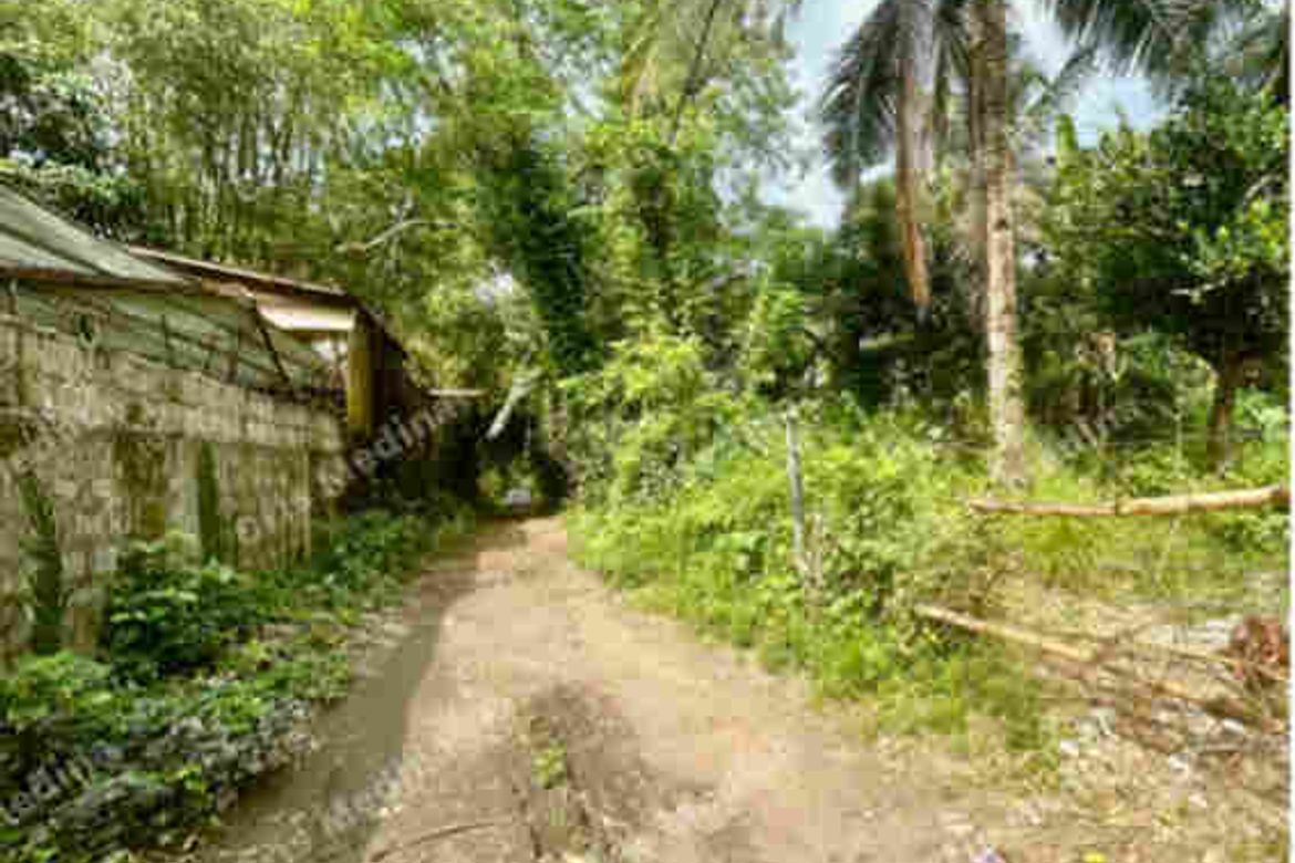 Land for Sale in San Vicente II, Silang, Cavite