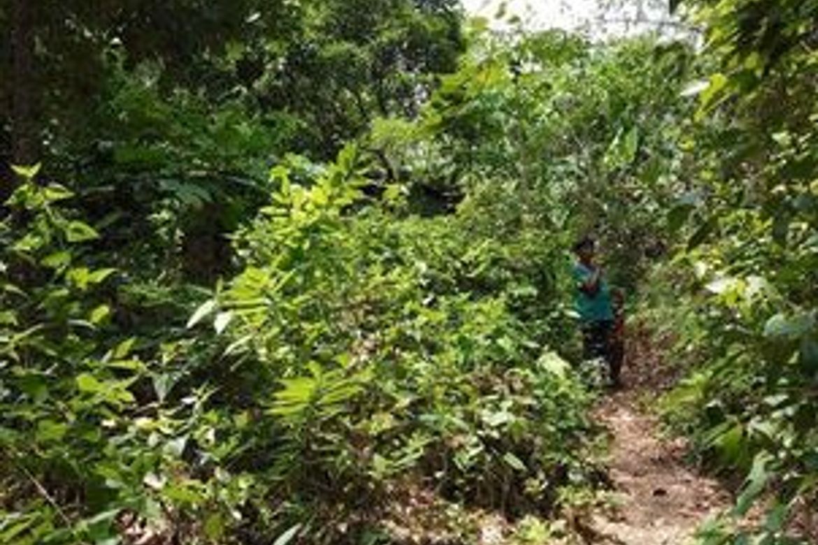 Land for Sale in San Vicente, Liloan, Cebu – photo 2