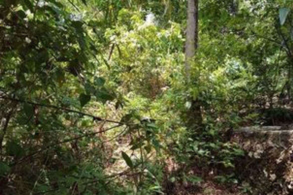 Land for Sale in San Vicente, Liloan, Cebu – photo 5