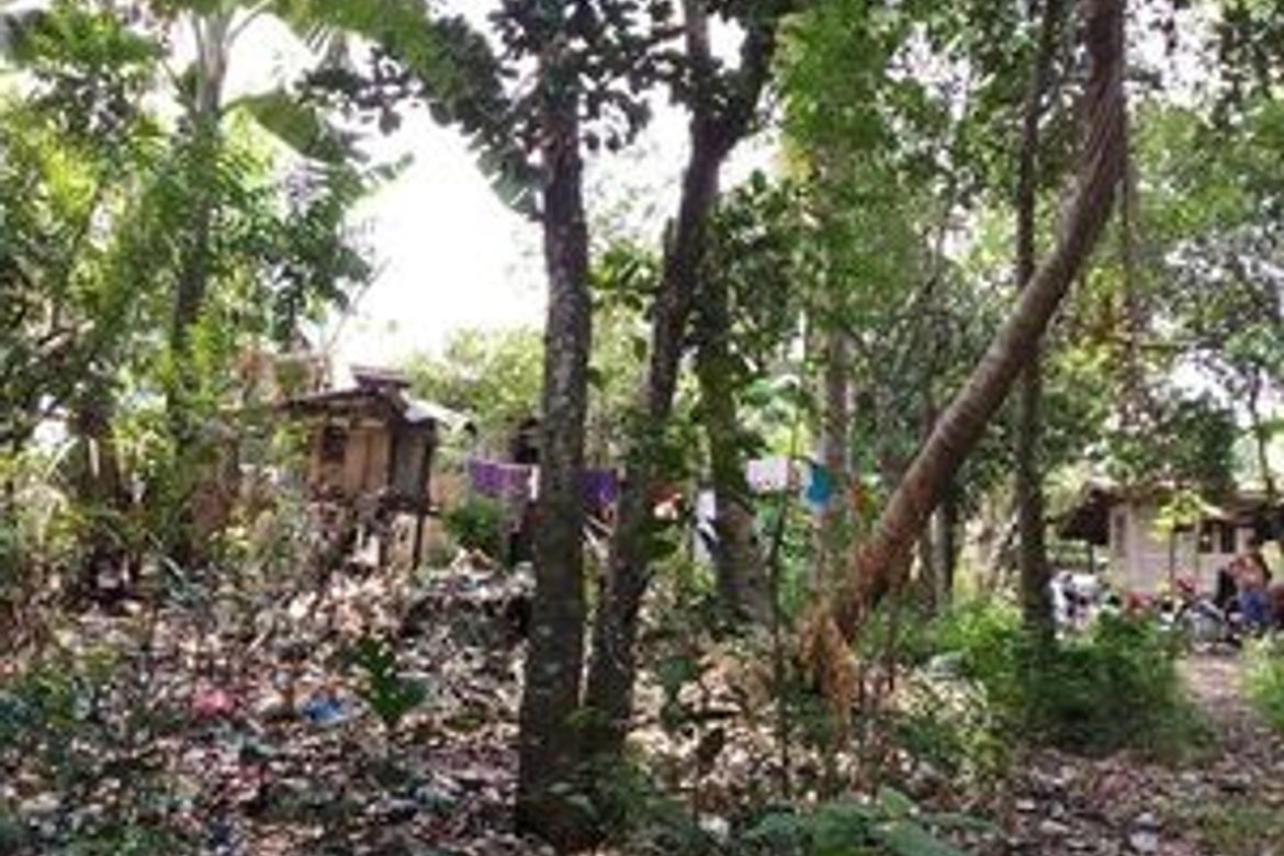 Land for Sale in San Vicente, Liloan, Cebu – photo 7