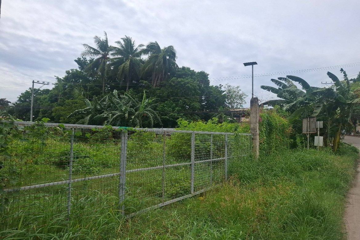 Land for Sale in San Vicente, Liloan, Cebu – photo 3