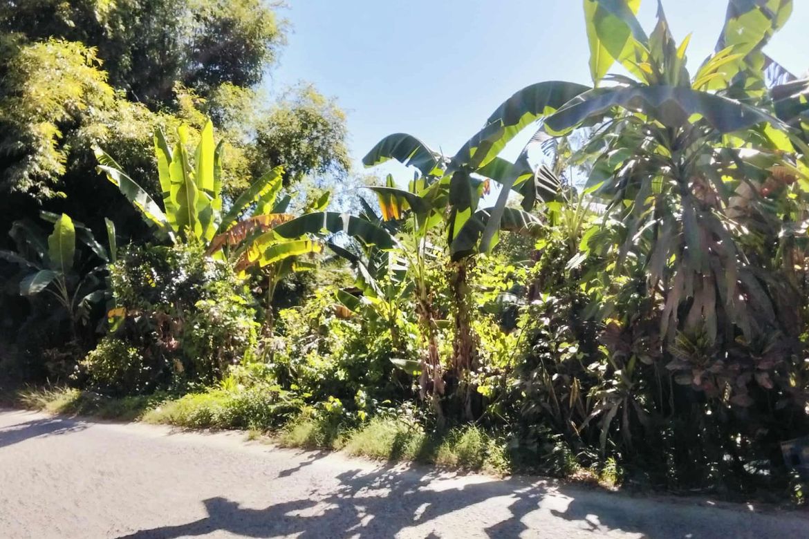 Land for Sale in San Vicente, Liloan, Cebu