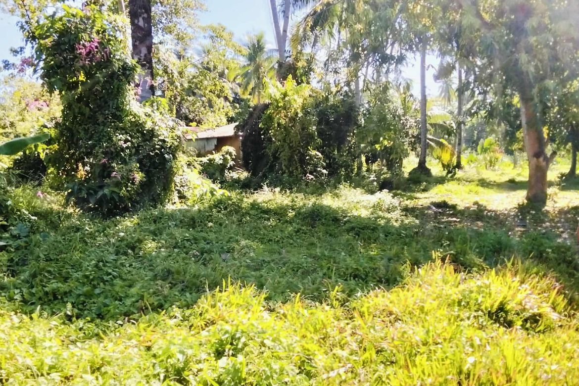 Land for Sale in San Vicente, Liloan, Cebu – photo 4