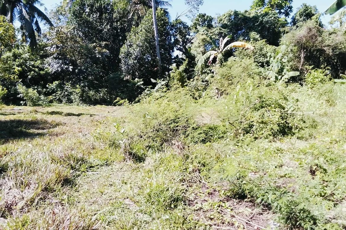 Land for Sale in San Vicente, Liloan, Cebu – photo 5